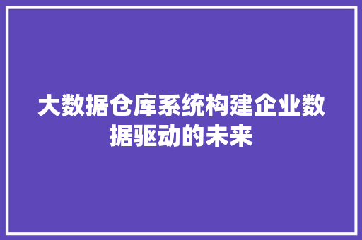 大数据仓库系统构建企业数据驱动的未来