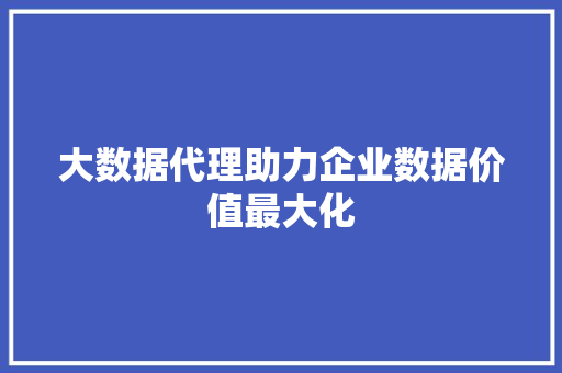 大数据代理助力企业数据价值最大化