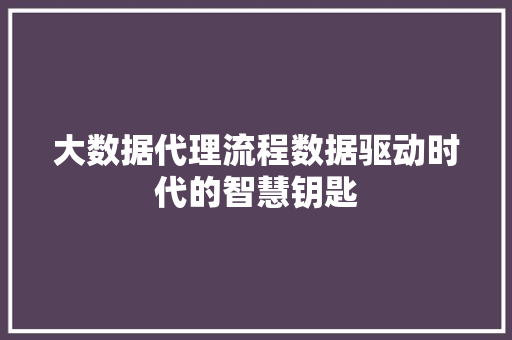 大数据代理流程数据驱动时代的智慧钥匙
