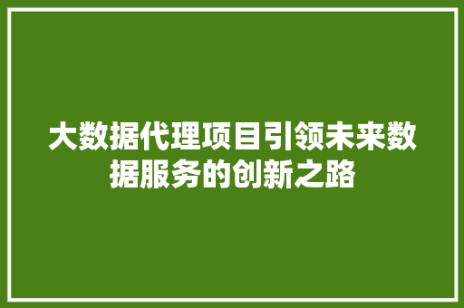 大数据代理项目引领未来数据服务的创新之路