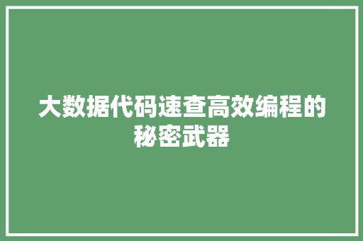 大数据代码速查高效编程的秘密武器