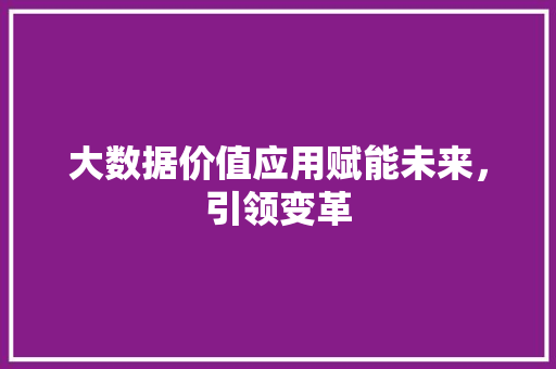大数据价值应用赋能未来，引领变革
