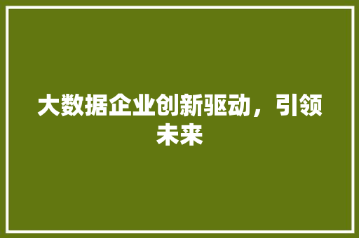 大数据企业创新驱动，引领未来