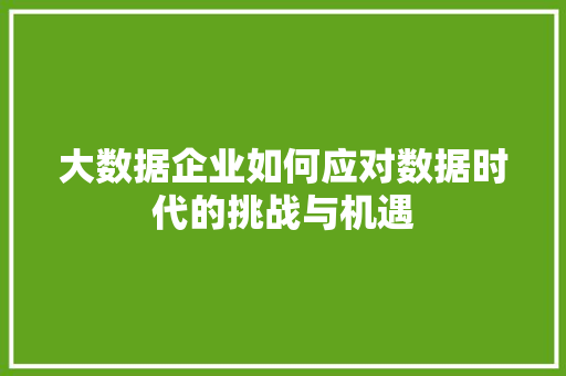 大数据企业如何应对数据时代的挑战与机遇