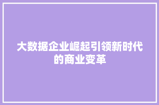 大数据企业崛起引领新时代的商业变革