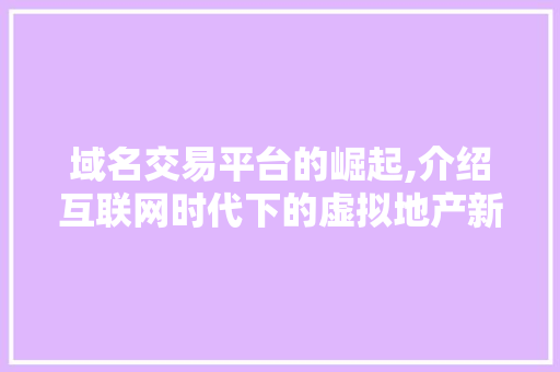 域名交易平台的崛起,介绍互联网时代下的虚拟地产新纪元