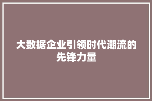 大数据企业引领时代潮流的先锋力量
