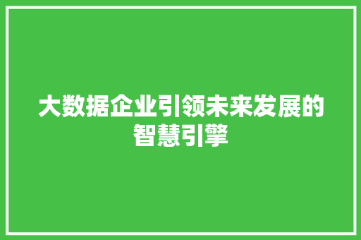 大数据企业引领未来发展的智慧引擎