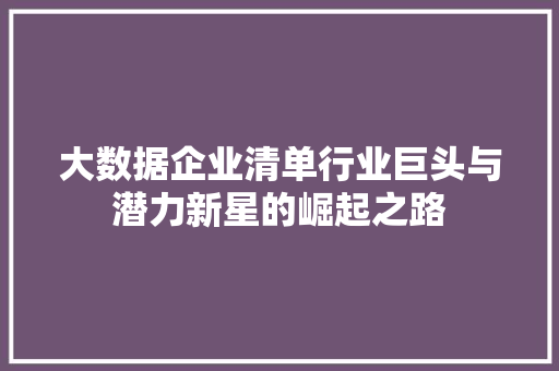 大数据企业清单行业巨头与潜力新星的崛起之路