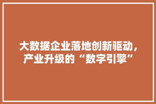 大数据企业落地创新驱动，产业升级的“数字引擎”
