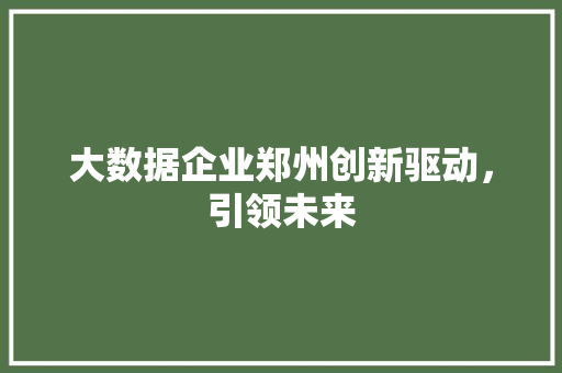 大数据企业郑州创新驱动，引领未来