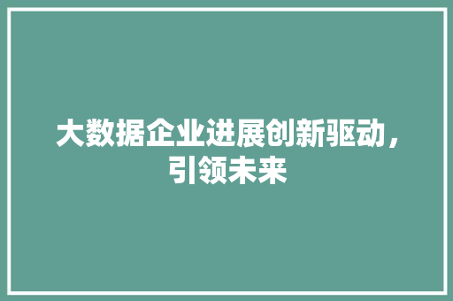 大数据企业进展创新驱动，引领未来