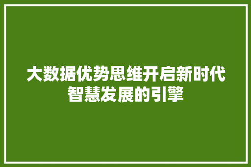 大数据优势思维开启新时代智慧发展的引擎