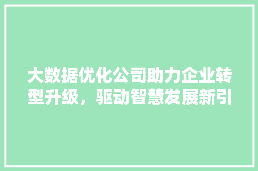 大数据优化公司助力企业转型升级，驱动智慧发展新引擎