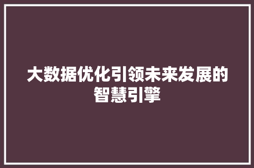 大数据优化引领未来发展的智慧引擎