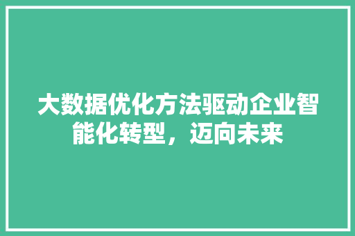 大数据优化方法驱动企业智能化转型，迈向未来