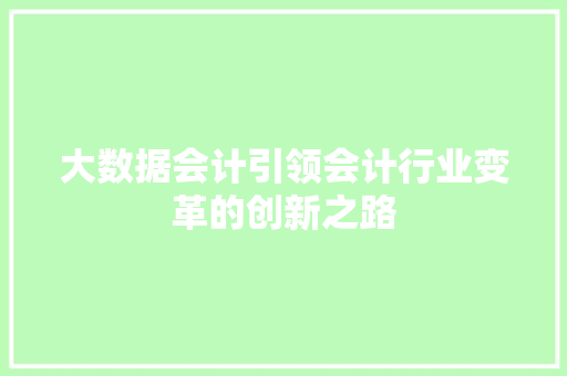 大数据会计引领会计行业变革的创新之路