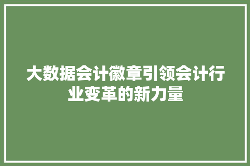 大数据会计徽章引领会计行业变革的新力量