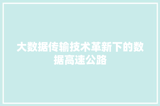 大数据传输技术革新下的数据高速公路