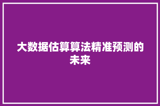 大数据估算算法精准预测的未来