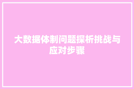 大数据体制问题探析挑战与应对步骤