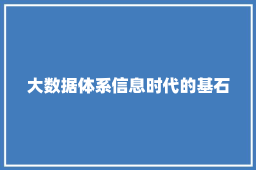 大数据体系信息时代的基石