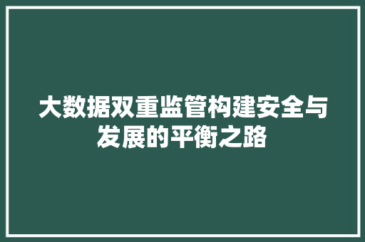 大数据双重监管构建安全与发展的平衡之路