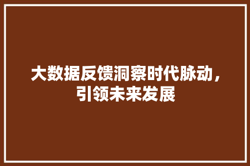 大数据反馈洞察时代脉动，引领未来发展