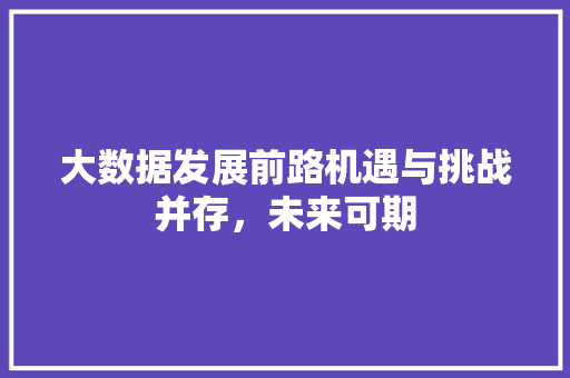 大数据发展前路机遇与挑战并存，未来可期