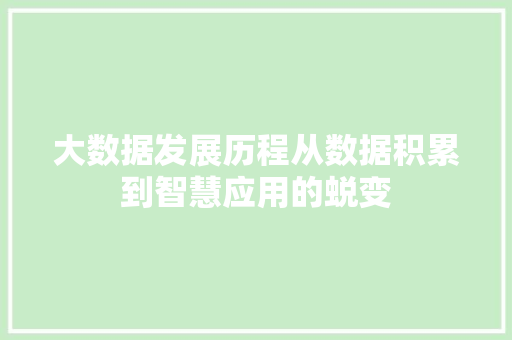 大数据发展历程从数据积累到智慧应用的蜕变