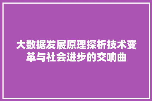 大数据发展原理探析技术变革与社会进步的交响曲