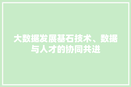 大数据发展基石技术、数据与人才的协同共进 WordPress教程