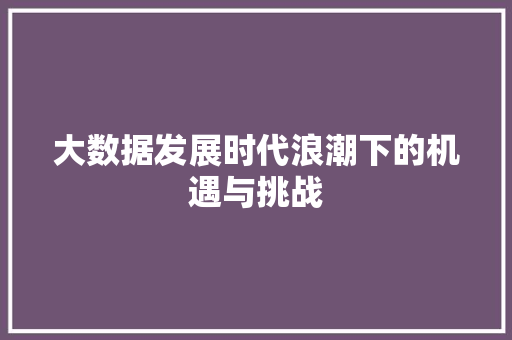 大数据发展时代浪潮下的机遇与挑战