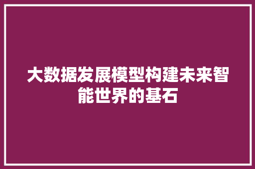 大数据发展模型构建未来智能世界的基石