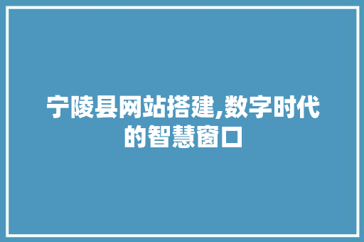 宁陵县网站搭建,数字时代的智慧窗口