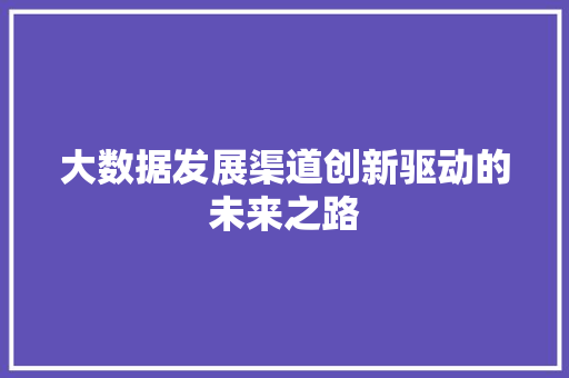 大数据发展渠道创新驱动的未来之路