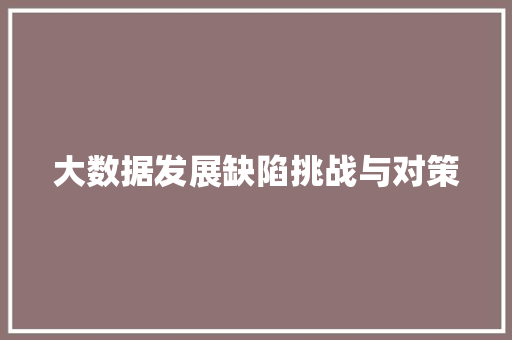 大数据发展缺陷挑战与对策