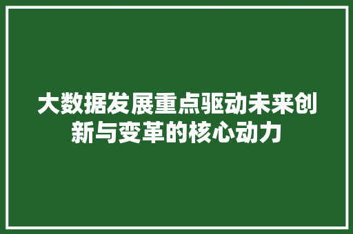 大数据发展重点驱动未来创新与变革的核心动力