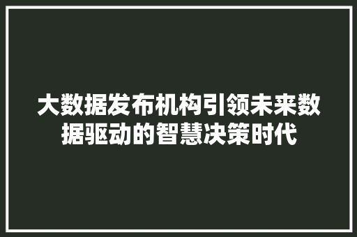 大数据发布机构引领未来数据驱动的智慧决策时代