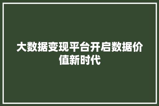 大数据变现平台开启数据价值新时代