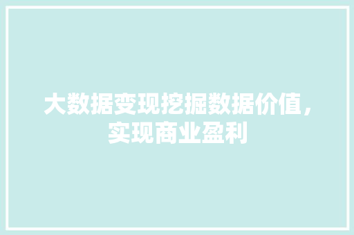 大数据变现挖掘数据价值，实现商业盈利