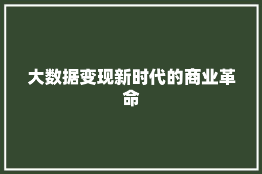 大数据变现新时代的商业革命