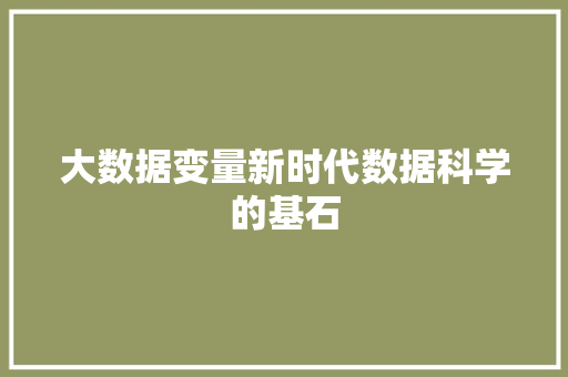大数据变量新时代数据科学的基石
