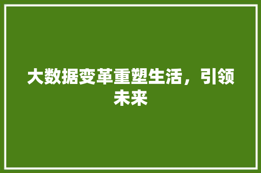 大数据变革重塑生活，引领未来