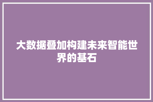 大数据叠加构建未来智能世界的基石
