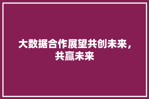 大数据合作展望共创未来，共赢未来 SEO教程