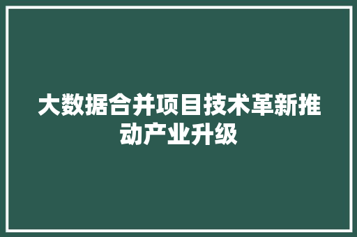大数据合并项目技术革新推动产业升级 SEO教程