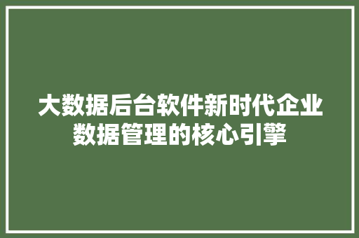 大数据后台软件新时代企业数据管理的核心引擎 SEO教程