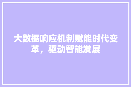大数据响应机制赋能时代变革，驱动智能发展 建站教程