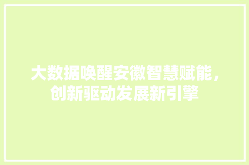 大数据唤醒安徽智慧赋能，创新驱动发展新引擎